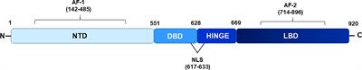 Lysine Acetyltransferases and Their Role in AR Signaling and Prostate Cancer